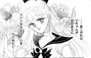 Sailor Venus as Princess Serenity