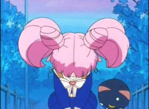 ChibiUsa apologizes for all the trouble she caused