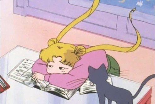 Usagi has to keep these scripts secret!