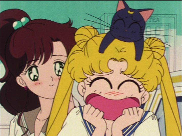 Aren't Usagi and Luna adorable together?