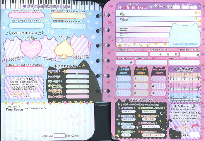 An example of a profile notebook