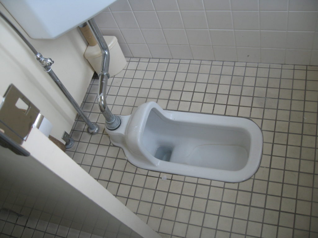 The washiki toilet – the source of many nightmares for me