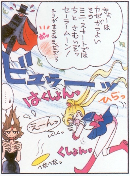 Sailor Moon Panel 3