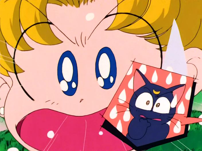 But I know EVERYTHING about Sailor Moon!